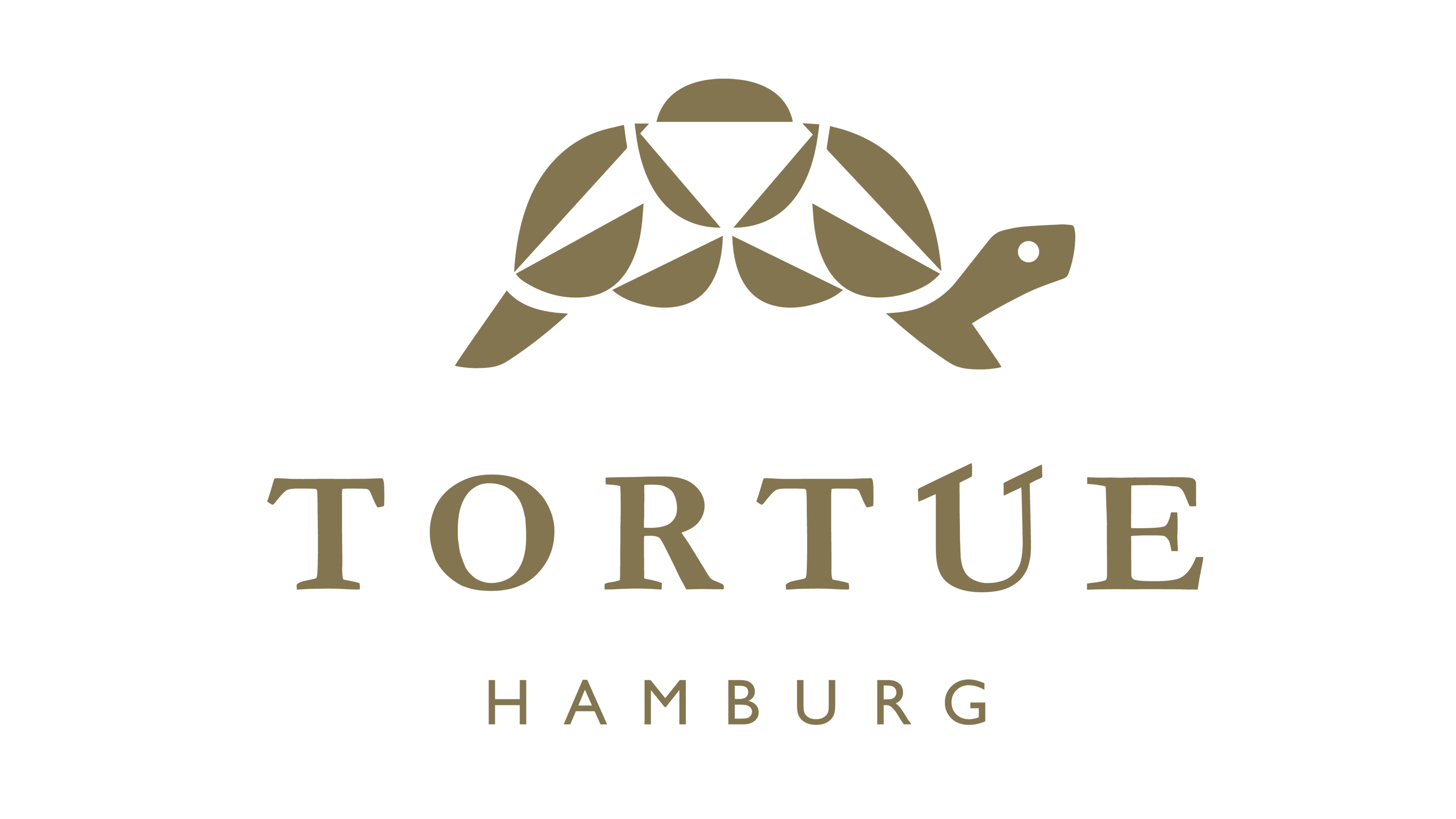 Tortue Les Ateliers Lillet